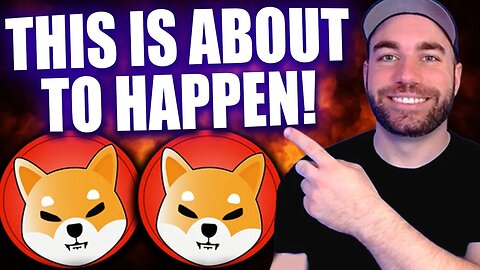SHIBA INU - The Next 4 Months Historically! (Good or Bad?)