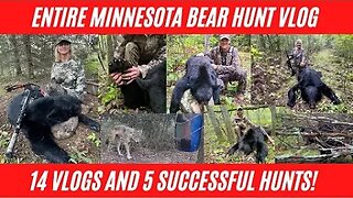 Minnesota Bear hunting 14 episodes including 5 successful bear hunts