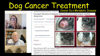 Dog Cancer Treatment