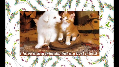 I have many friends, but my best friend... [Quotes and Poems]