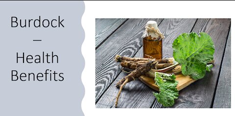 Burdock - Health Benefits