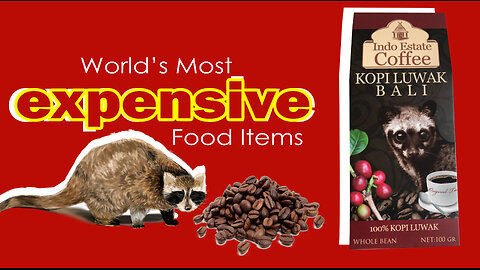 World's Most Expensive Food Items