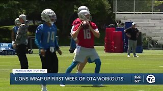 Campbell impressed with Goff's progress at Lions OTAs