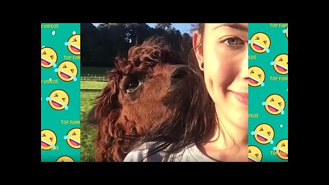 GIRL FAILS COMPILATION || FUNNY VIDEOS 😂 || CUTE GIRLS ✔