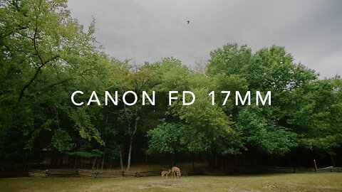 Budget Ultra Wide angel lens & why the Canon FD 17 MM still slaps 50 years later.