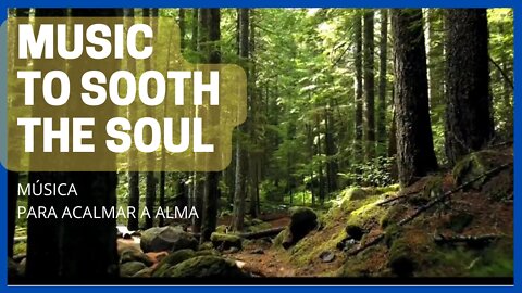 🌻 Music to Sooth the Soul | Música Para Acalmar a Alma