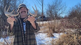 Does shed hunting help kill a deer?