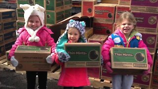 Girl Scouts to sell cookies on Grubhub