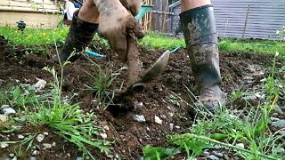 TACKLING AN ARMY OF WEEDS in my Garden!