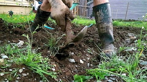 TACKLING AN ARMY OF WEEDS in my Garden!