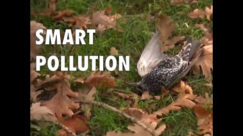 Smart Pollution - part 1