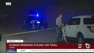 Human remains found on trail