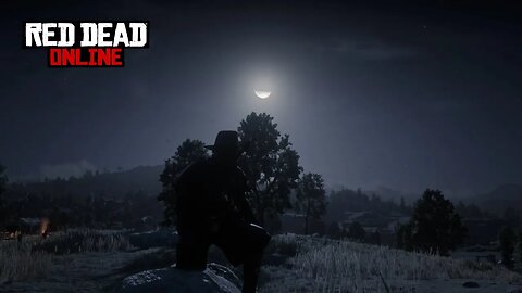 Red Dead Redemption 2 Online