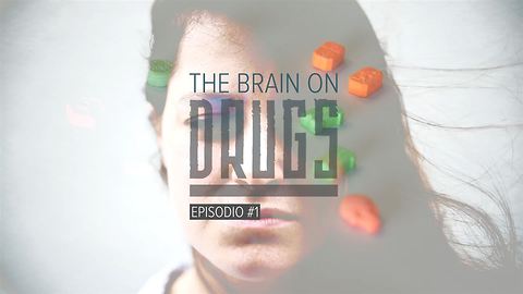 Cómo reacciona el cerebro ante las drogas: Éxtasis