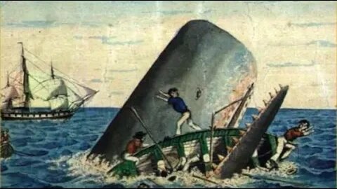 The Real Story That Inspired Moby Dick - The Sinking of the Essex