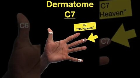 Testing Dermatomes, Myotomes and DTRs #shorts (Part B)