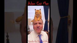 Adam Schiff and the Cat