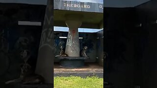 Dogs hangout at bus stop.