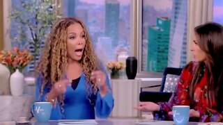 Conservatives roast The View’s Hostin for calling Republican women ‘roaches:’ ‘Should be fired immed