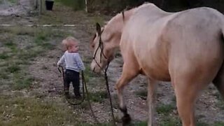 Bebé passeia jovem cavalo