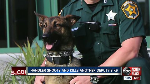 Polk County deputy forced to shoot, kill another deputy's K9