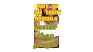 Why do we treat animals better than Why do we treat animals better than humans? #Safety #gioycm