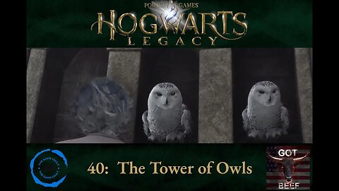 Hogwarts Legacy 40: The Tower of Owls