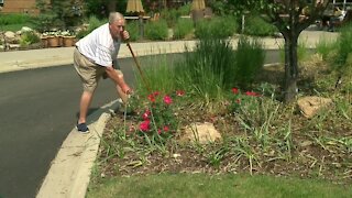 Senior man's green thumb is helping a retired living community flourish in Denver
