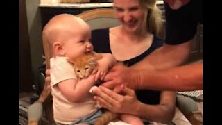 Gato causa drama entre duas primas bebés