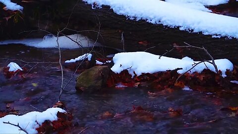 Creek Sounds with Winter Scene 10 Hour Video