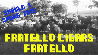 60 SECOND CIGAR REVIEW - Fratello Cigars Fratello