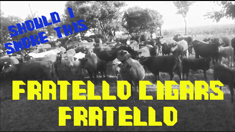 60 SECOND CIGAR REVIEW - Fratello Cigars Fratello