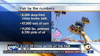 San Diego County Fair: By the numbers