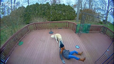 Dog Drags Owner Around The Backyard