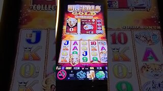 Buffalo Gold Collection $1.20 Bonus (Parx Casino)