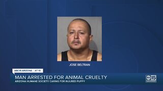 Valley man arrested for animal cruelty