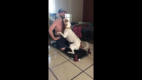 Loving Dog "Helps" Owner With His Workout