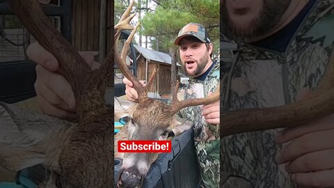 Georgia Buck Down! Preview