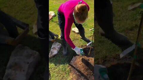 BEST BUG GARDENING HACK! 💨🚫🐛 #shorts #viral #gardening