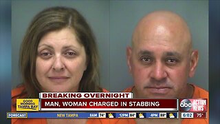 Man and woman arrested for stabbing on Dunedin Causeway