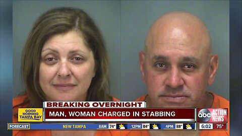 Man and woman arrested for stabbing on Dunedin Causeway