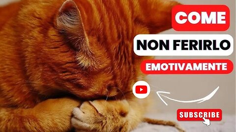 15 cose che i gatti fanno per te che tu non hai notato
