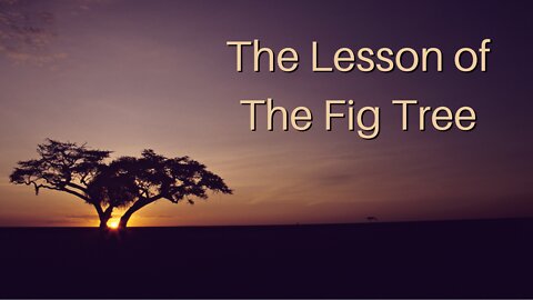 The Lesson of the Fig Tree