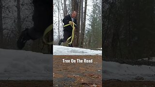 Pulling a tree off the road with a tow strap. #shorts