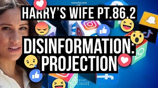 Harry´s Wife Part 86.2 Disinformation Projection