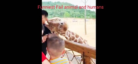 Funniest Fails Animals And Humans