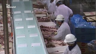 The Rebound: Meat Demand Rising During Pandemic