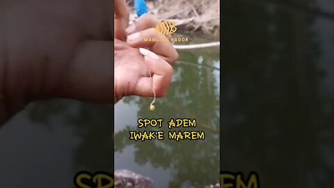 MANTAP BANGET!! TARIKAN IKAN MONSTER 🐟🦈 Spotnya sangat menjanjikan para pemancing di alam liar