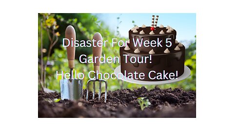 Disaster! Week 5 Garden Tour! Hello Chocolate Cake!