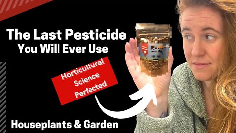 How To Properly Apply Predatory Mites To Plants. Using Grub Grenade In The Garden & Indoors